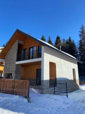 Home in the Snow